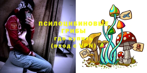 твердый Абинск